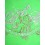 Polo Baci & Abbracci  woman  Green lime